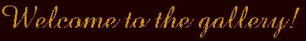 wpe1.jpg (6627 bytes)